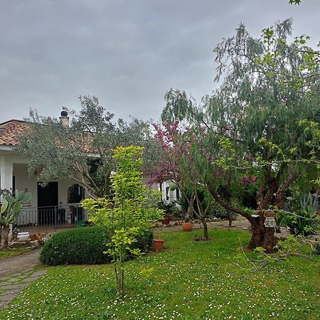 Отель La Casa Di Fede Lanuvio Экстерьер фото