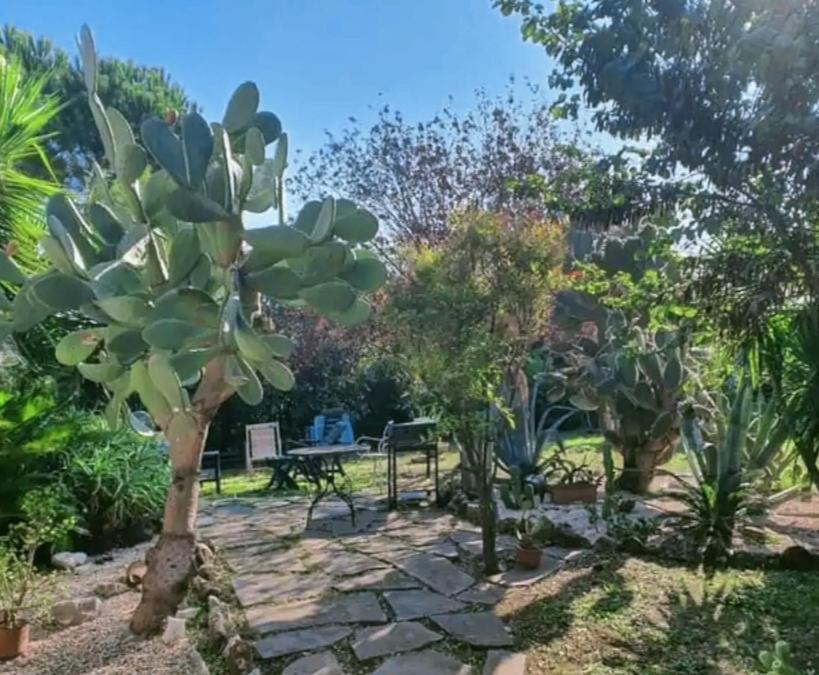 Отель La Casa Di Fede Lanuvio Экстерьер фото